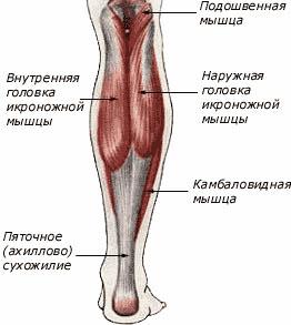 Посмотрим вниз